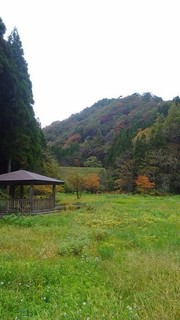 chi_area_kikizake_1611_c (06).jpg