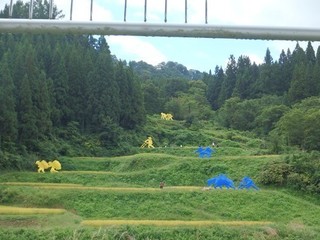chi_area_torienna_1509(36).jpg