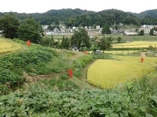 chi_area_torienna_1509(69).jpg