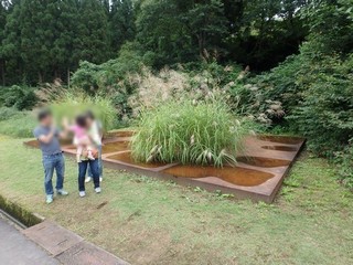 chi_area_torienna_1509(70).jpg