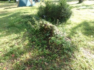 chi_camp_sasagamine_1509(11).jpg