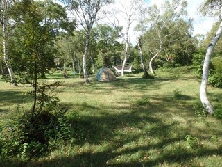 chi_camp_sasagamine_1509(16).jpg