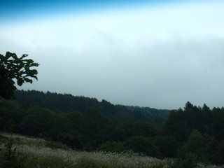 chi_camp_sasagamine_1509(22).jpg