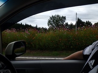 chi_camp_sasagamine_1509(25).jpg