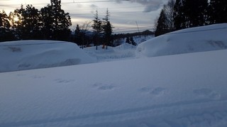 chi_mont_myoko_1502_(16).jpg