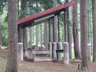 chi_park_iduna_1507_(05).jpg