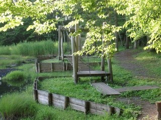 chi_park_iduna_1507_(24).jpg