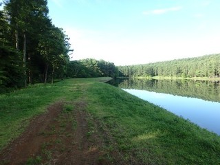chi_park_iduna_1507_(37).jpg