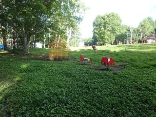 chi_park_iduna_1507_(42).jpg