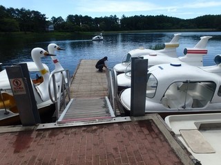 chi_park_iduna_1507_(49).jpg