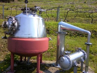 chi_park_iwanohara_1305_09.jpg
