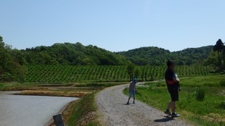 chi_park_kasuga_1505_(04).jpg