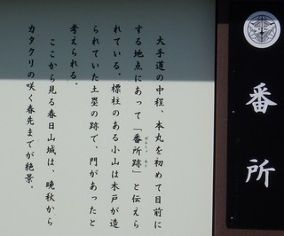 chi_park_kasuga_1505_(10).jpg
