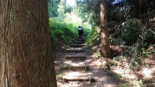 chi_park_kasuga_1505_(17).jpg