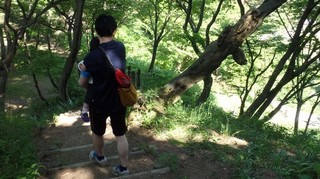 chi_park_kasuga_1505_(37).jpg