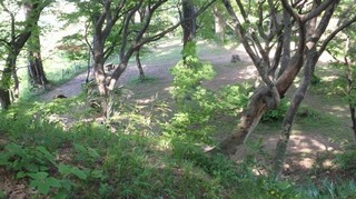 chi_park_kasuga_1505_(38).jpg