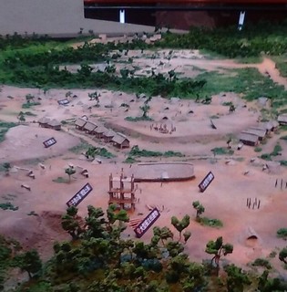 chi_park_sannai_1706_ (12).jpg