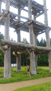 chi_park_sannai_1706_(08).jpg