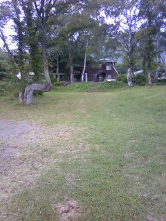 chi_park_sasa_1209_01.jpg