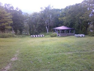chi_park_sasa_1209_02.jpg