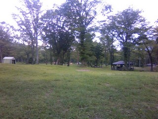 chi_park_sasa_1209_03.jpg