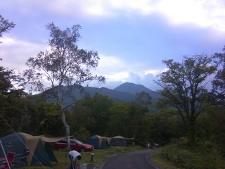 chi_park_sasa_1209_04.jpg