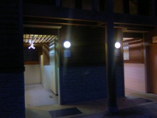 chi_park_sasa_1209_06.jpg