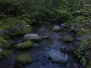 chi_park_sasa_1209_11.jpg