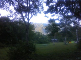 chi_park_sasa_1209_14.jpg