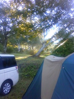 chi_park_sasa_1209_17.jpg