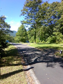 chi_park_sasa_1209_20.jpg