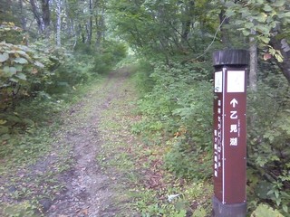 chi_park_sasagamine_1409_(14).jpg