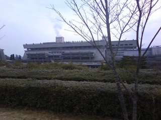 chi_park_takaraike_1001_9.jpg