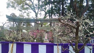 chi_shrin_kitano_201703_(1).jpg