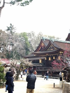 chi_shrin_kitano_201703_(5).jpg