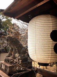 chi_shrin_kitano_201703_(7).jpg