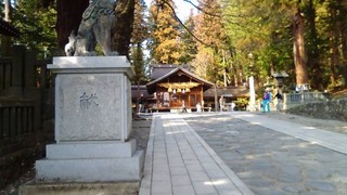 chi_shrin_suwasimoharu_201703_(5).jpg