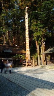 chi_shrin_suwasimoharu_201703_(6).jpg